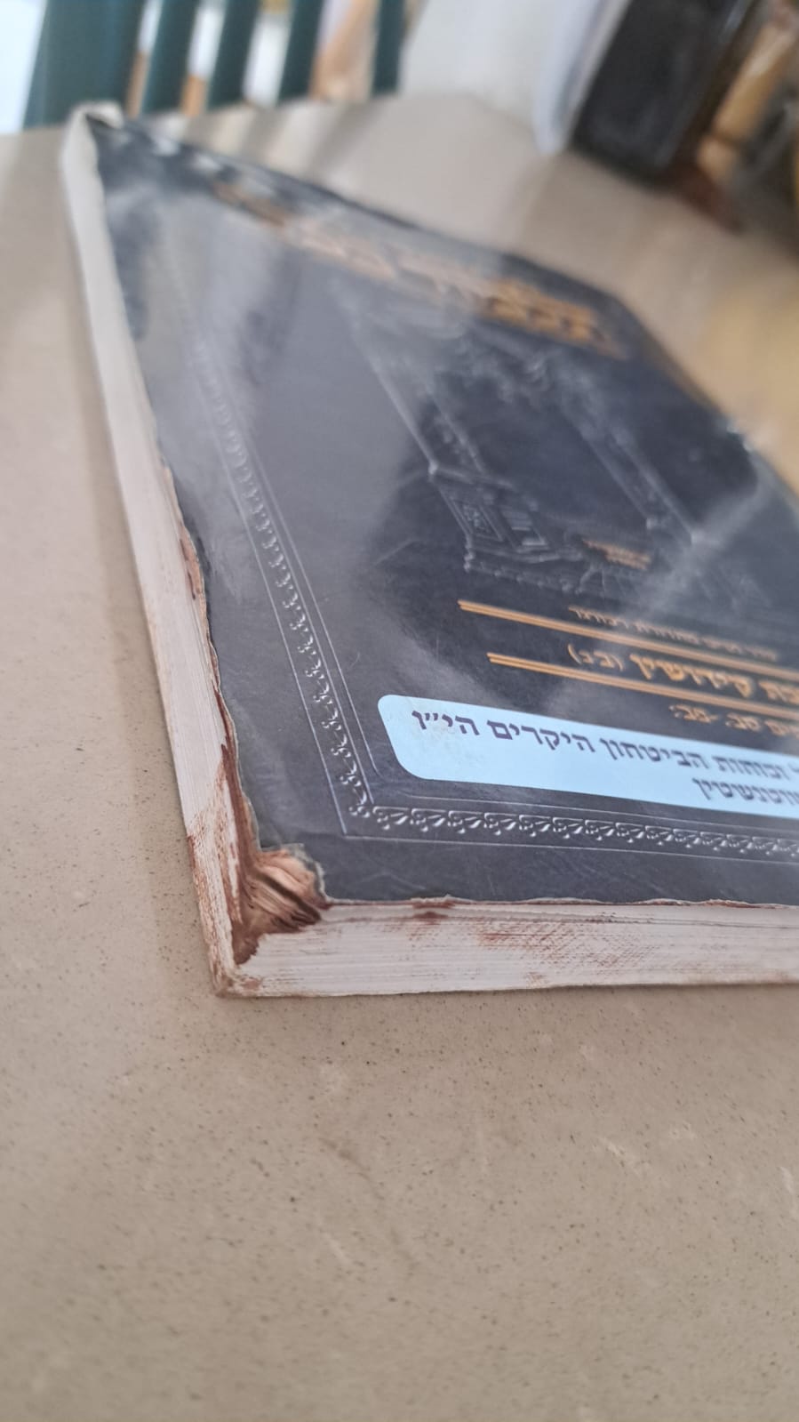 הגמרא שנמצאה בנמר של איתן דישון הי"ד