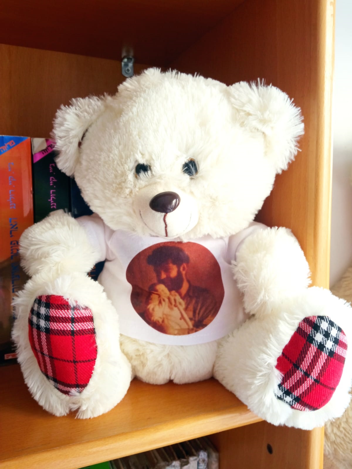 חיבוק מהאב שאיננו. הדובי של רחלי פורת