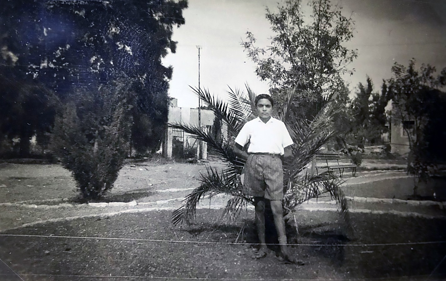 שלמה בעיראק