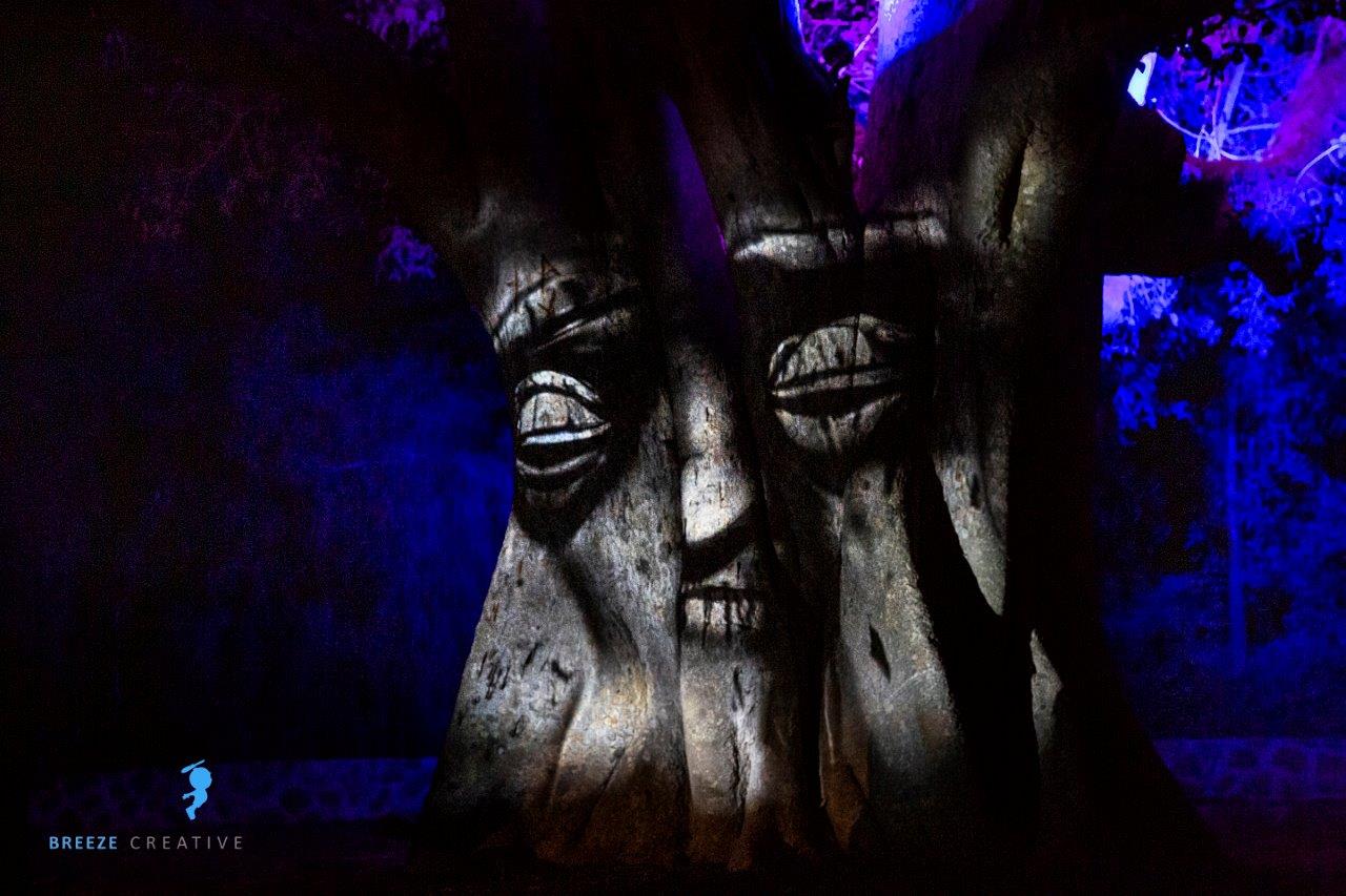 תופעת טבע פארק הירדן