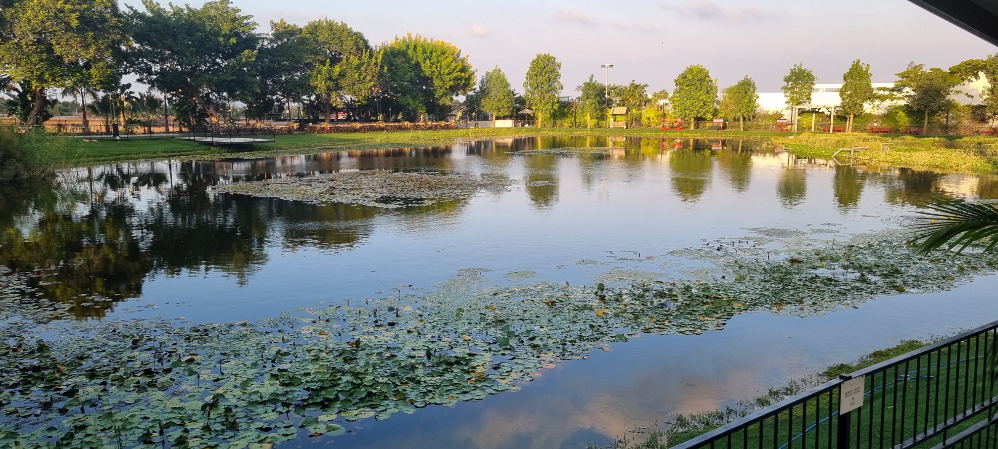 אגם דרים איילנד. חלום של מקום