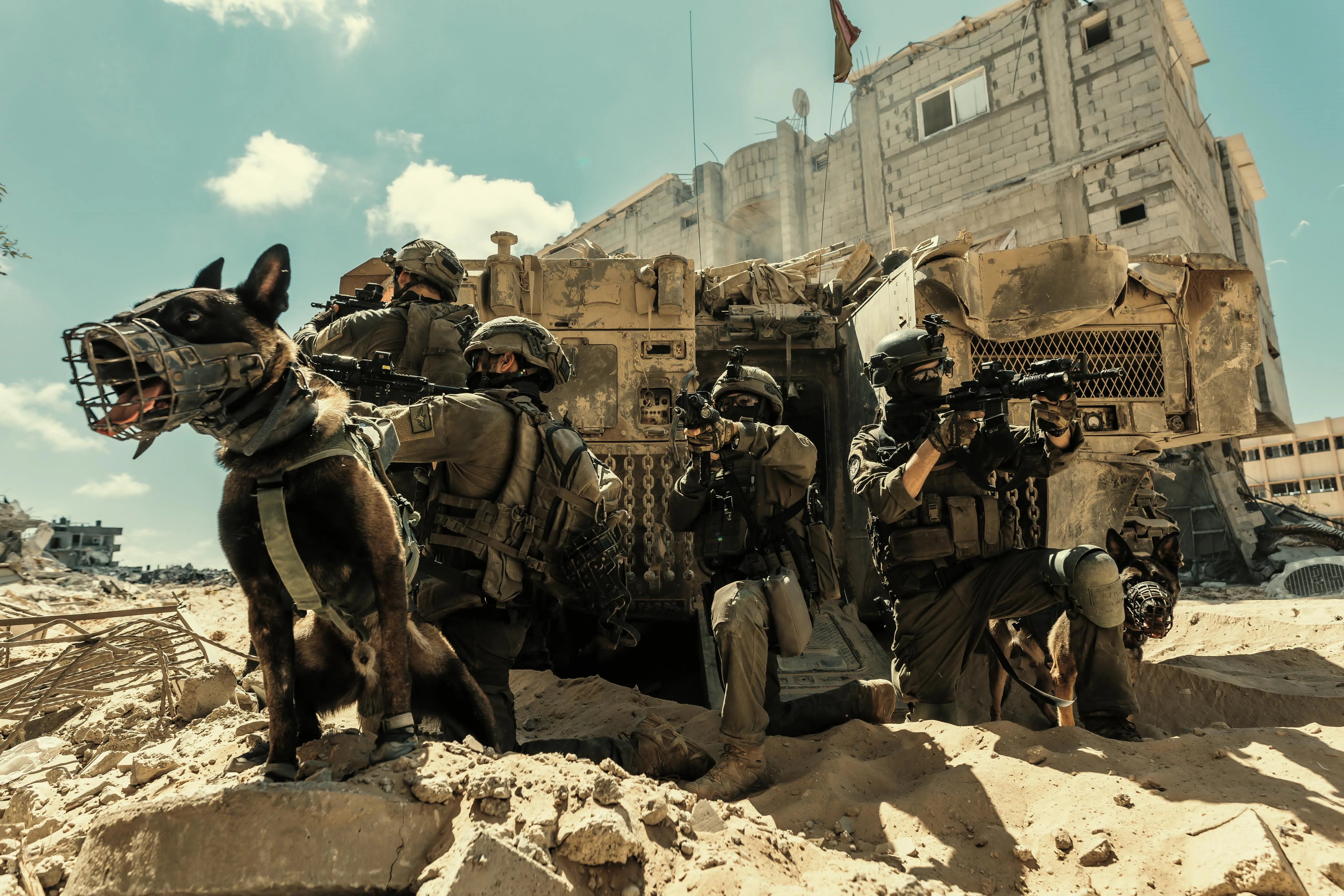 לוחמים עם כלב עוקץ ברפיח
