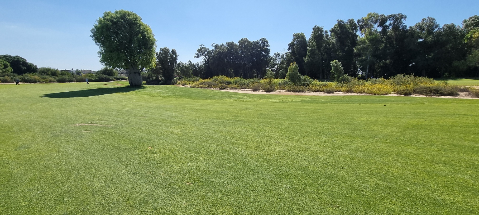 גולף איכותי