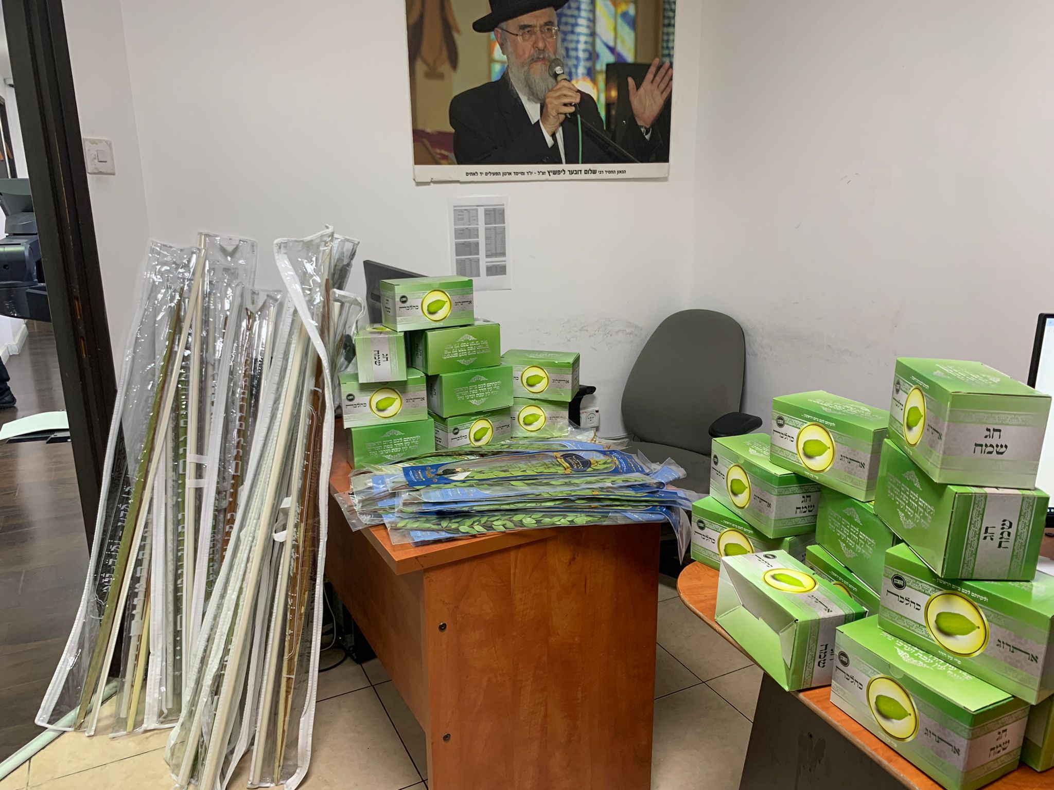 חלוקת ד' מינים