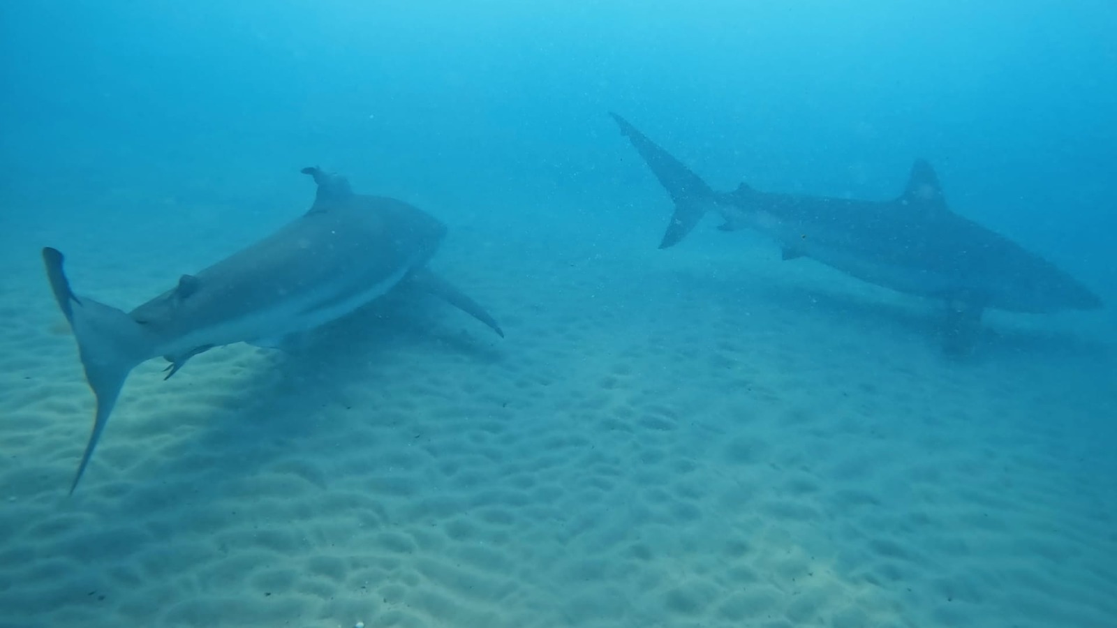 להיזהר עליהם מאיתנו