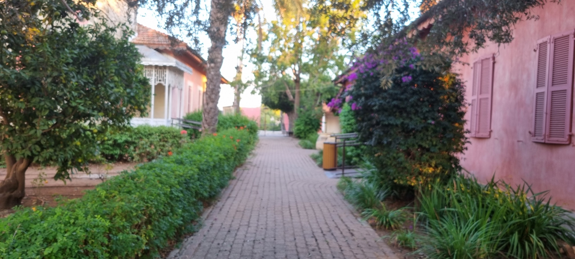 בית אהרונסון