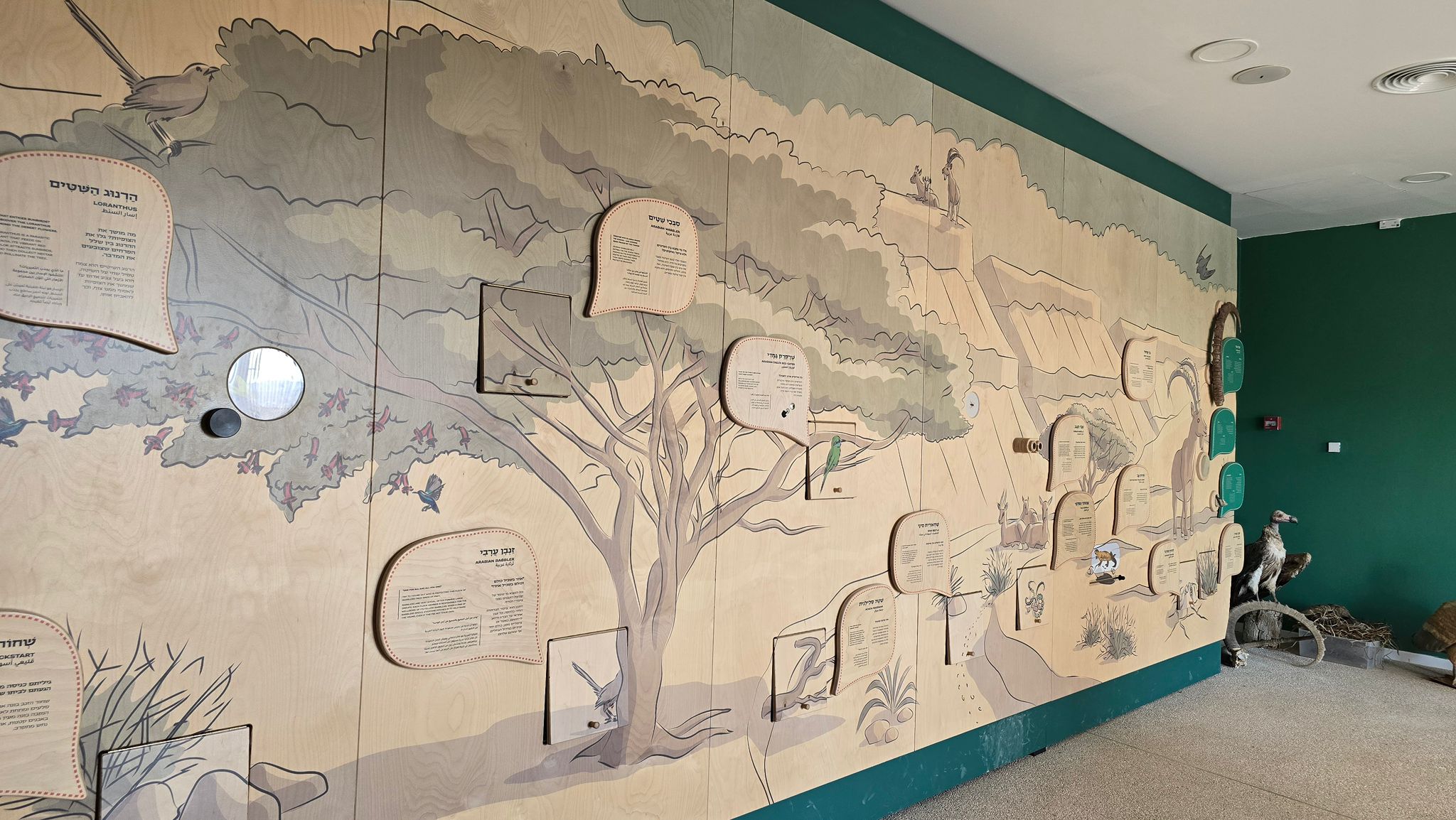 מרכז הצפרות החדש בנגב