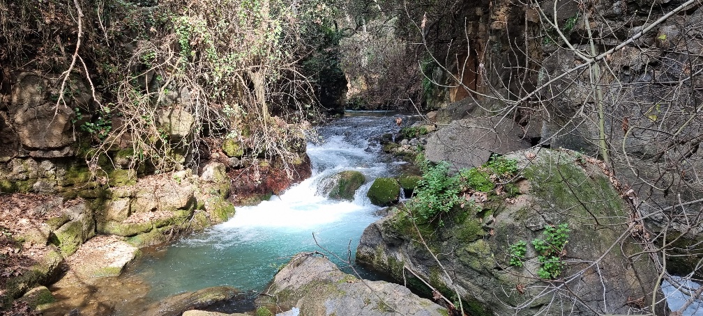 זרימה בבניאס