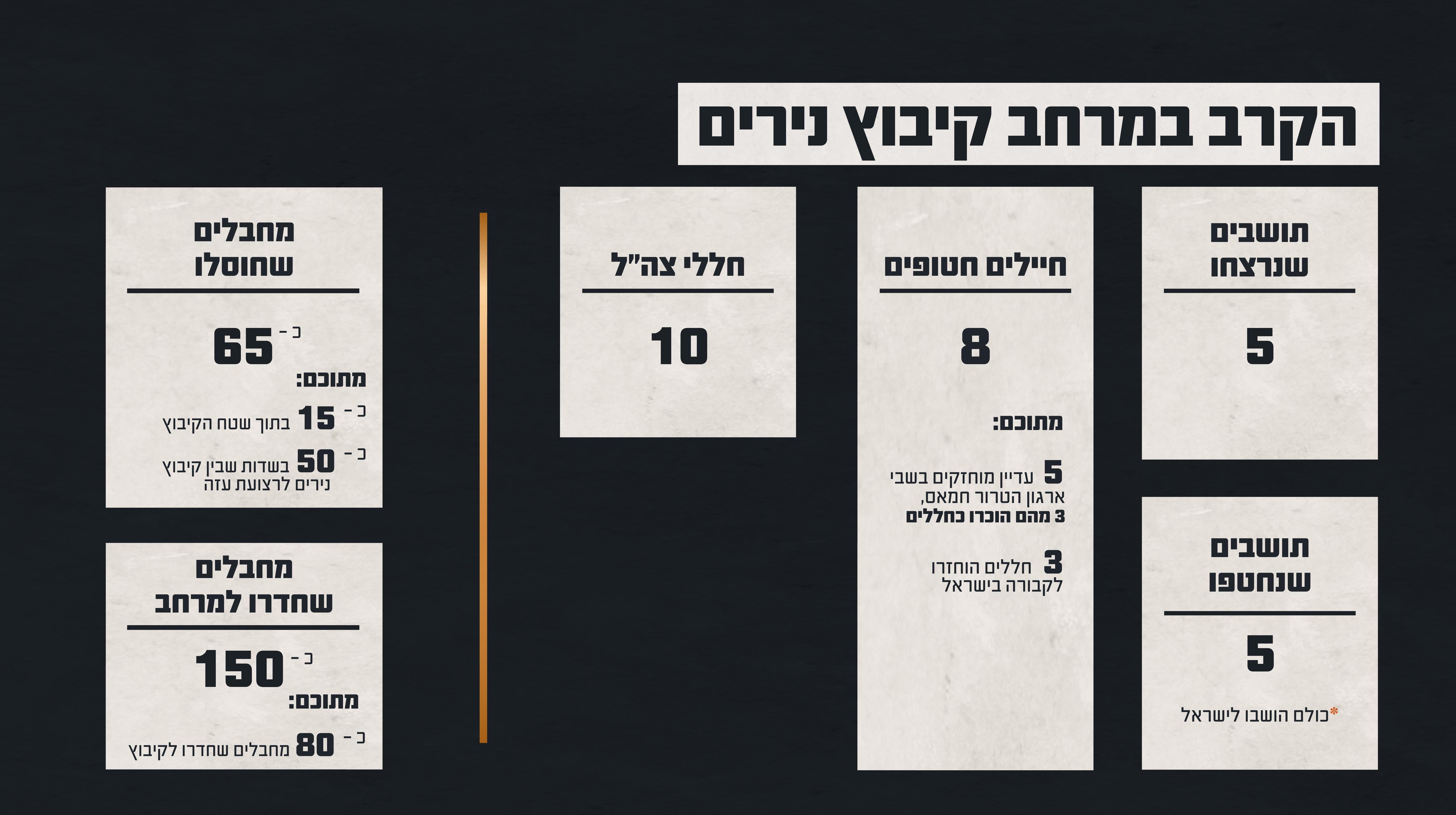 נתוני הקרב בנירים