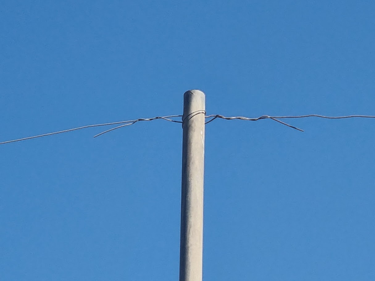 עמוד לא תיקני 