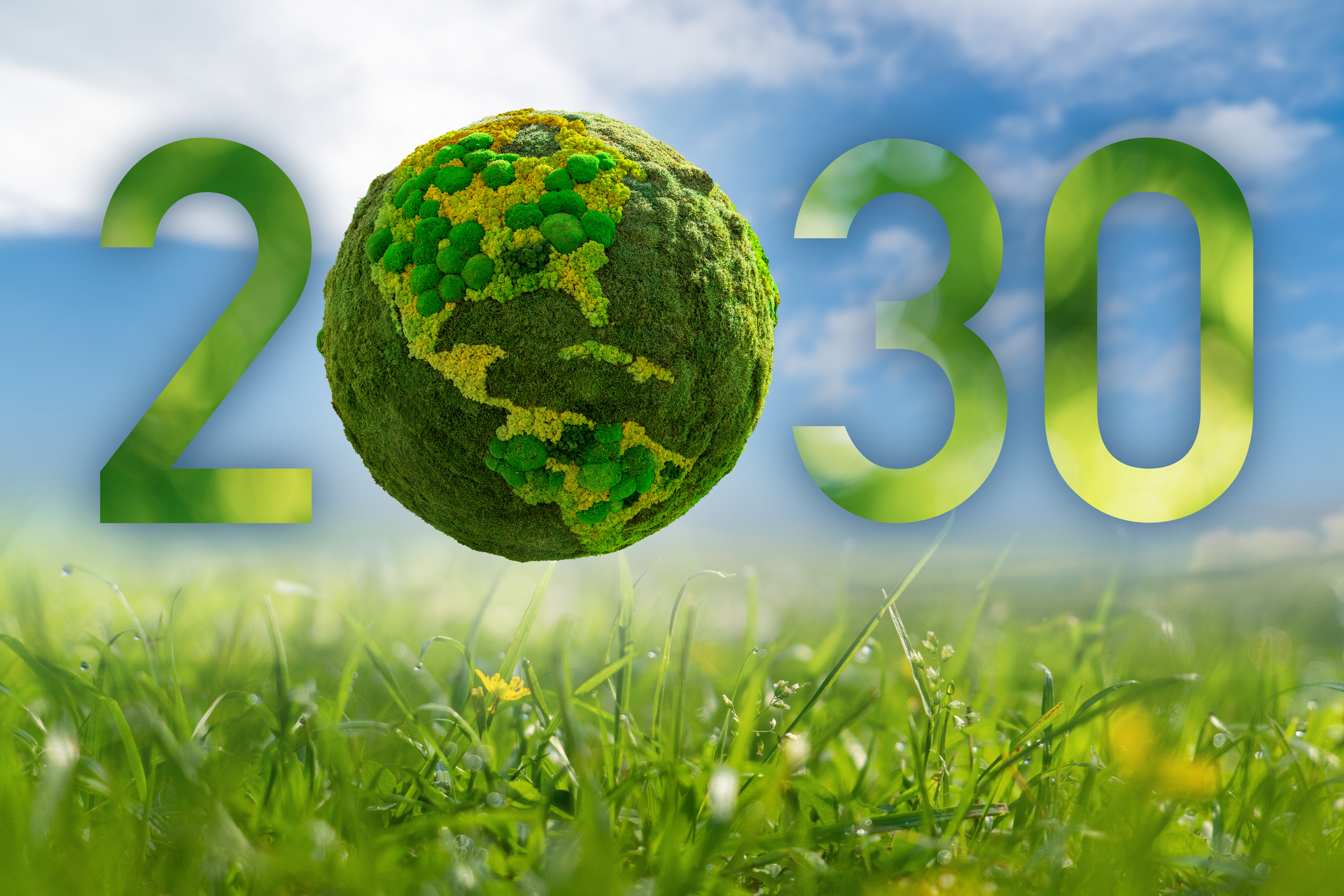 אילוסטרציה