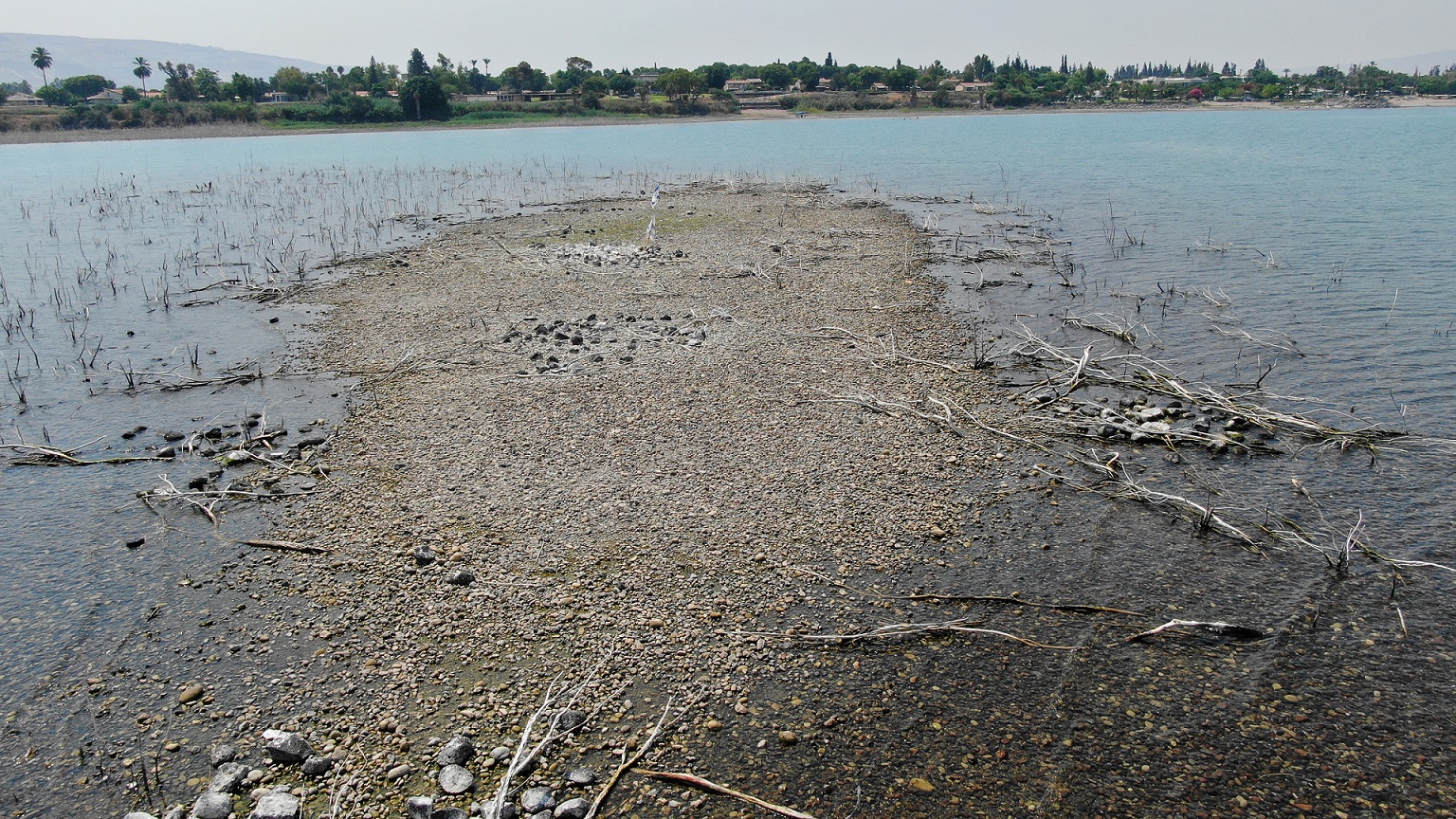 האי מול מעגן