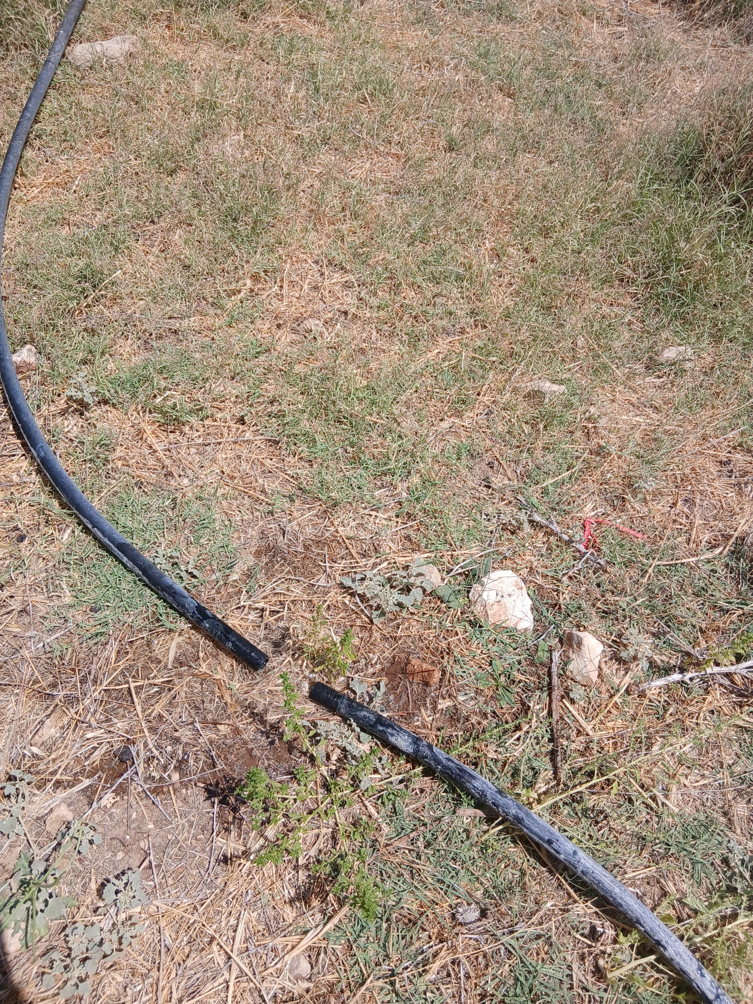 הצינור שנחתך במעיין