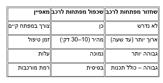 ההבדלים המרכזים- שכפול מול שחזור