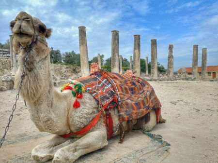 הגן הלאומי סבסטיה