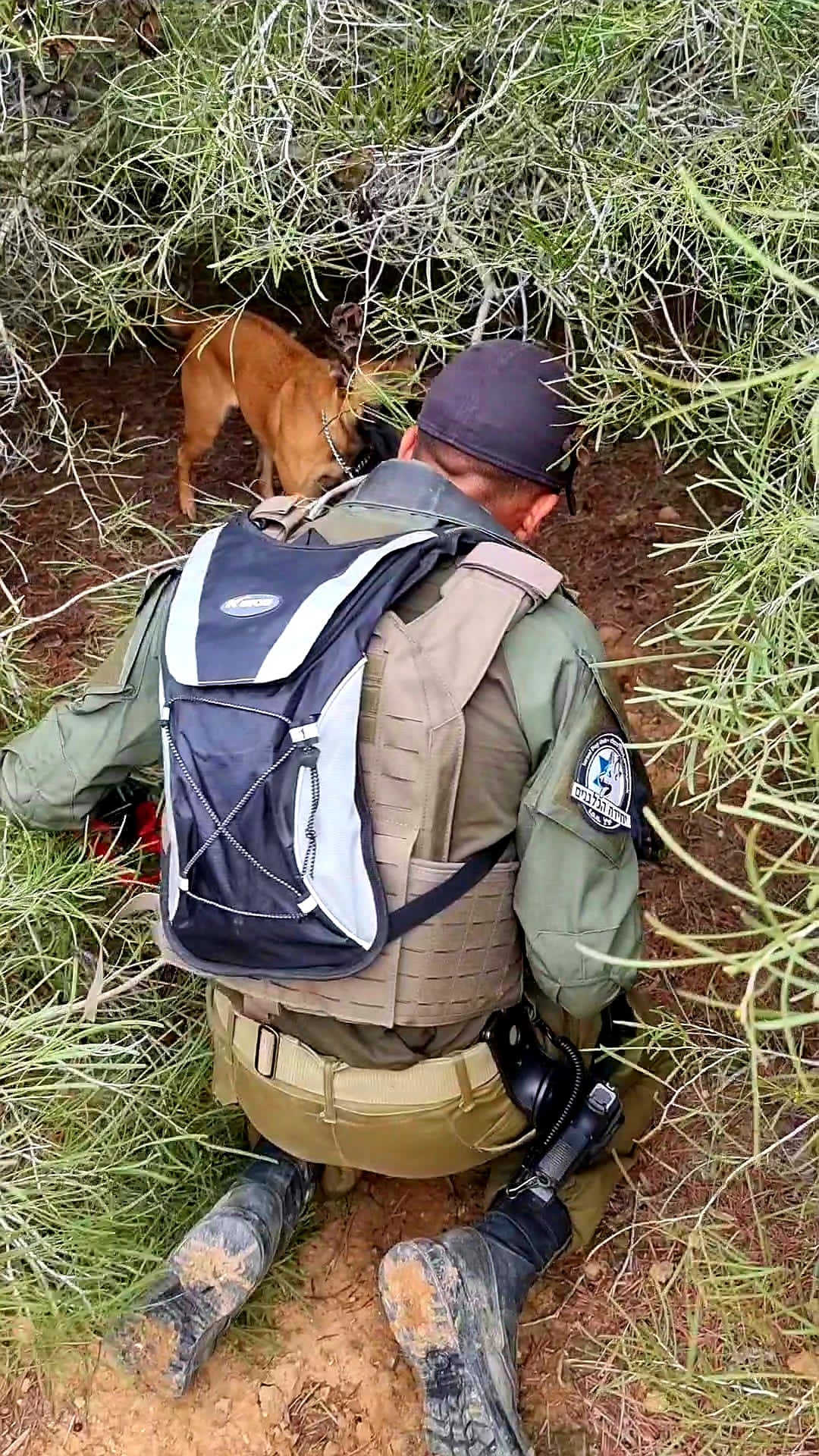 חיזוק יחידת הכלבנים