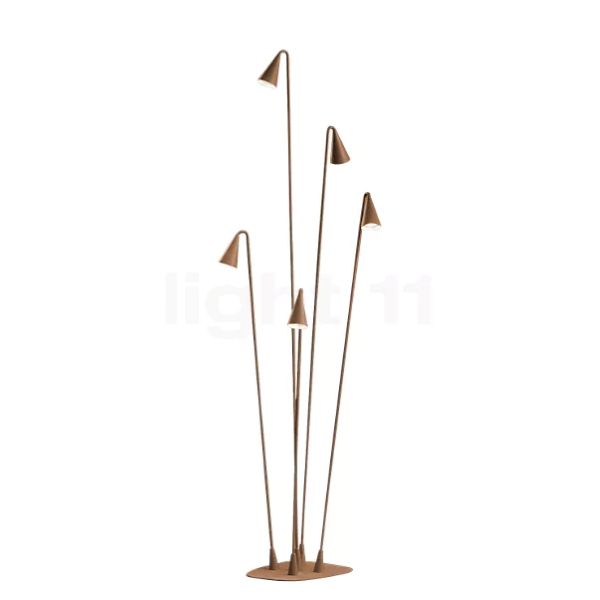 צילום: קרני תכלת