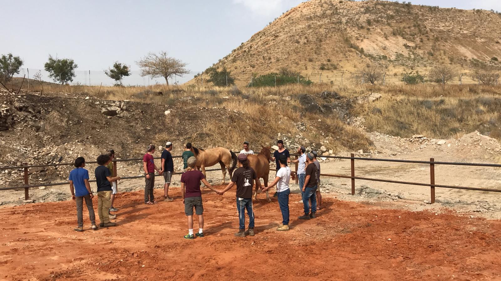 צילום: עמותת תימורה