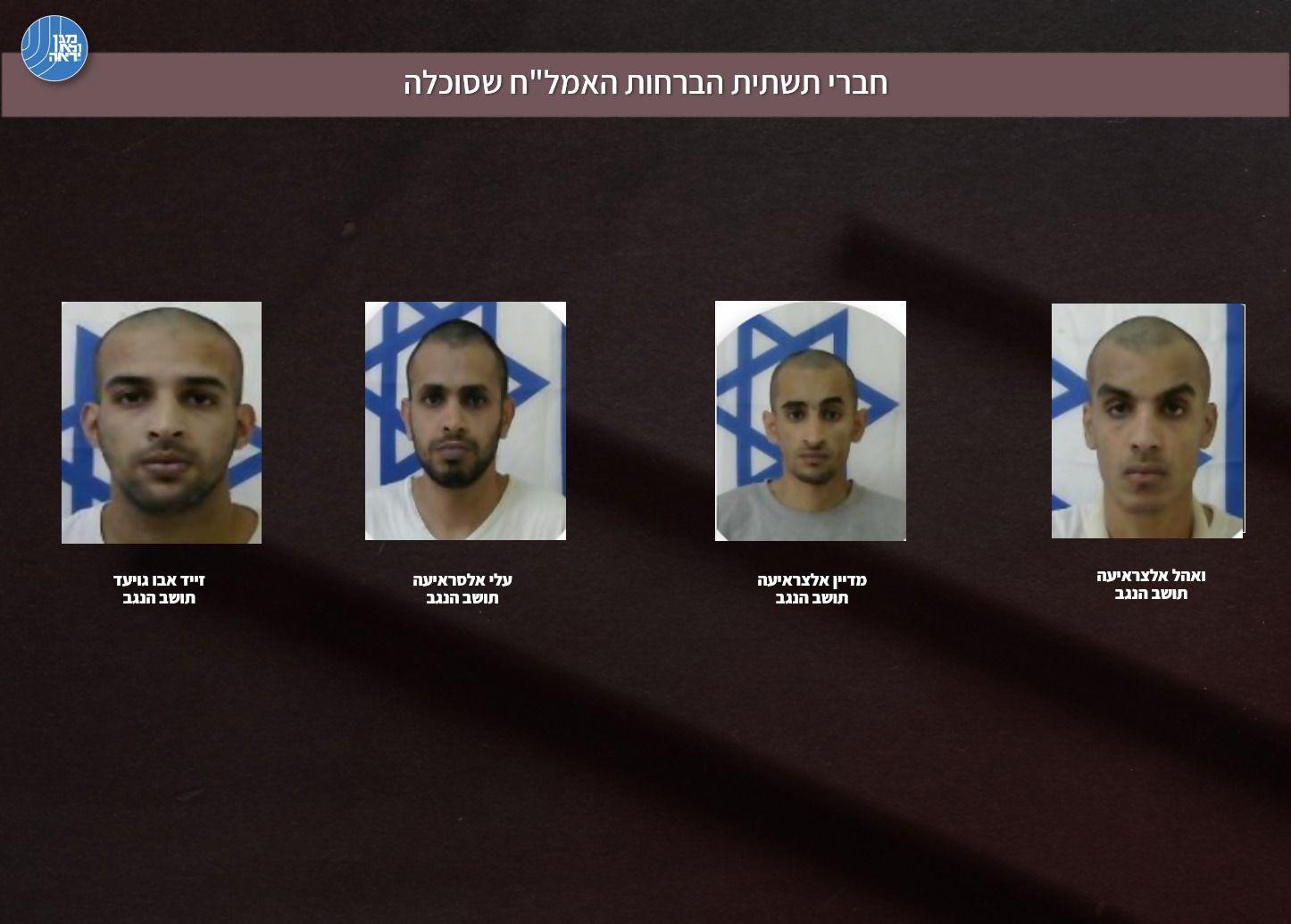 חברי החוליה 