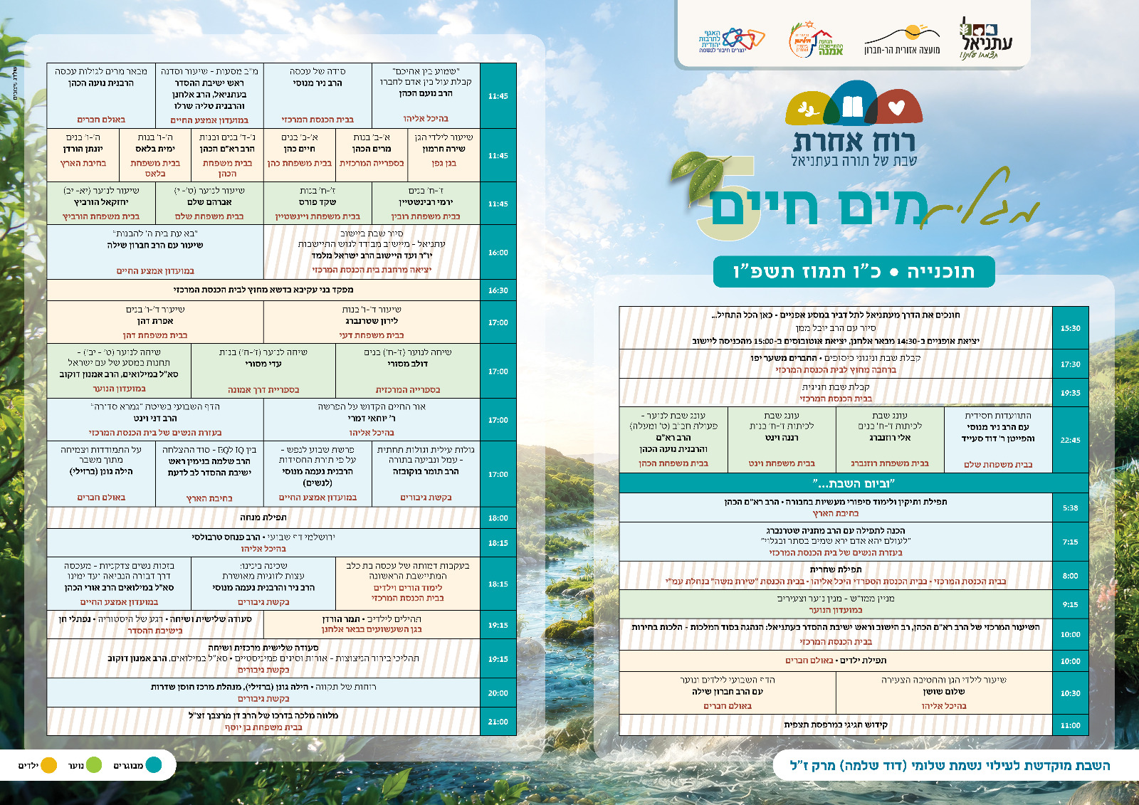 לוז