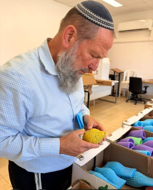 הרב חיים גנץ בודק את האתרוג