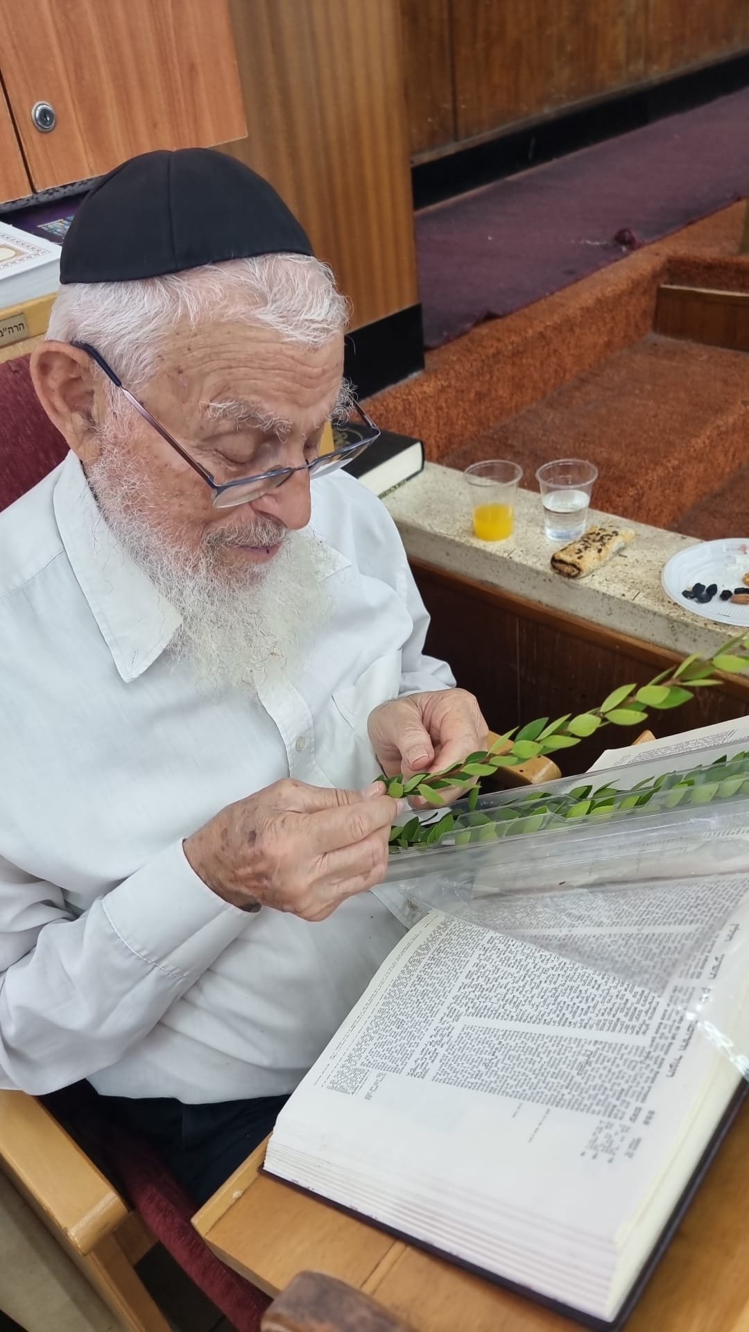הרב יעקב אריאל בודק הדסים