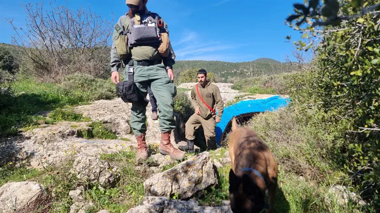 חיפושים מתרחבים