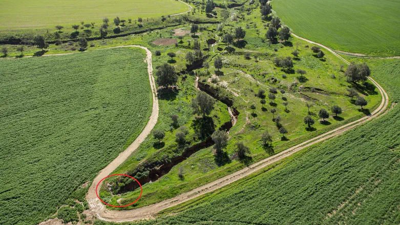 ראש ערוץ שטופל בנחל צידה