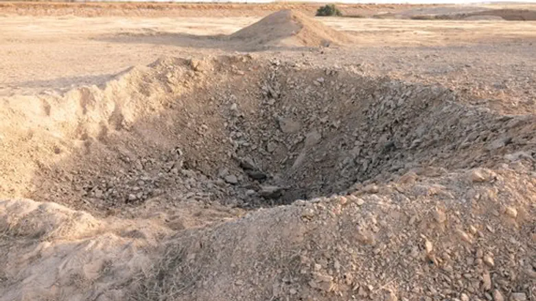 הפגיעה בנבטים