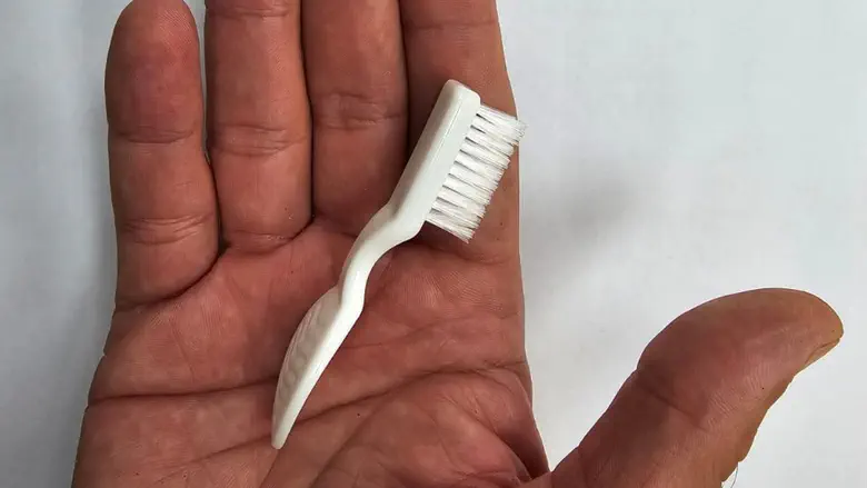 המברשת החדשה 