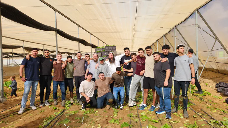 עוזרים בחקלאות