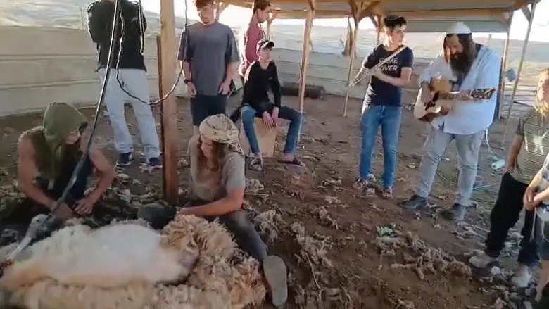 ראשית הגז בשדה יונתן