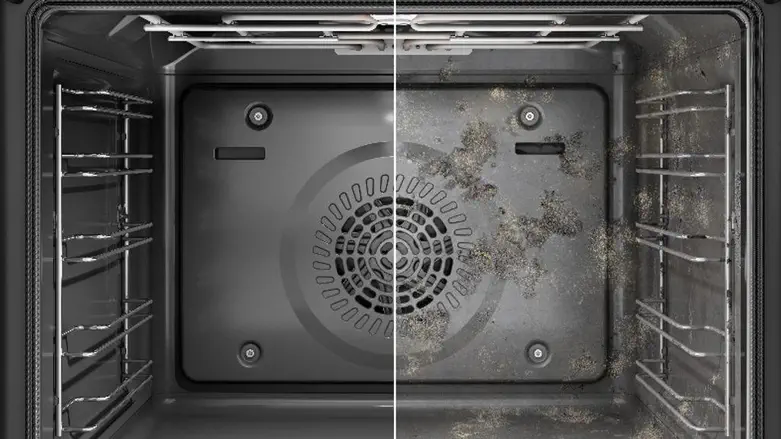 תכנית ניקוי פירוליטי