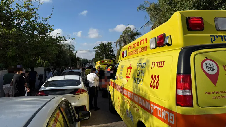 הזירה בה אותרו הפעוטות