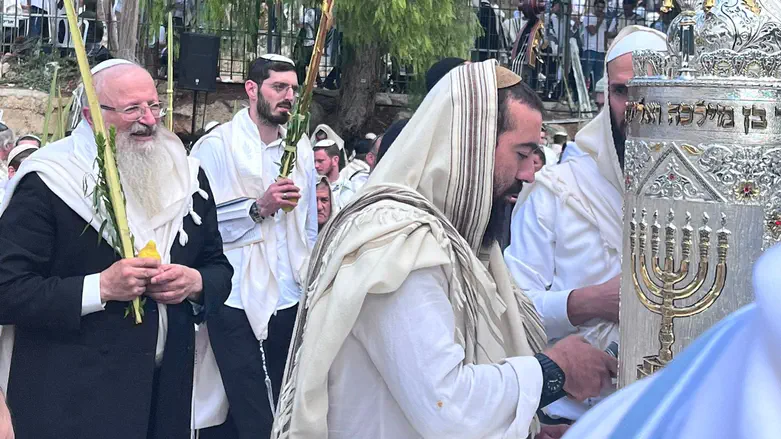 כפיר בעלייה לתורה