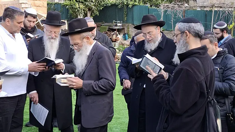 ברכת האילנות