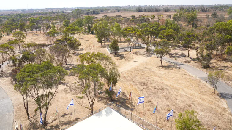 חורשת גוש קטיף בכיסופים