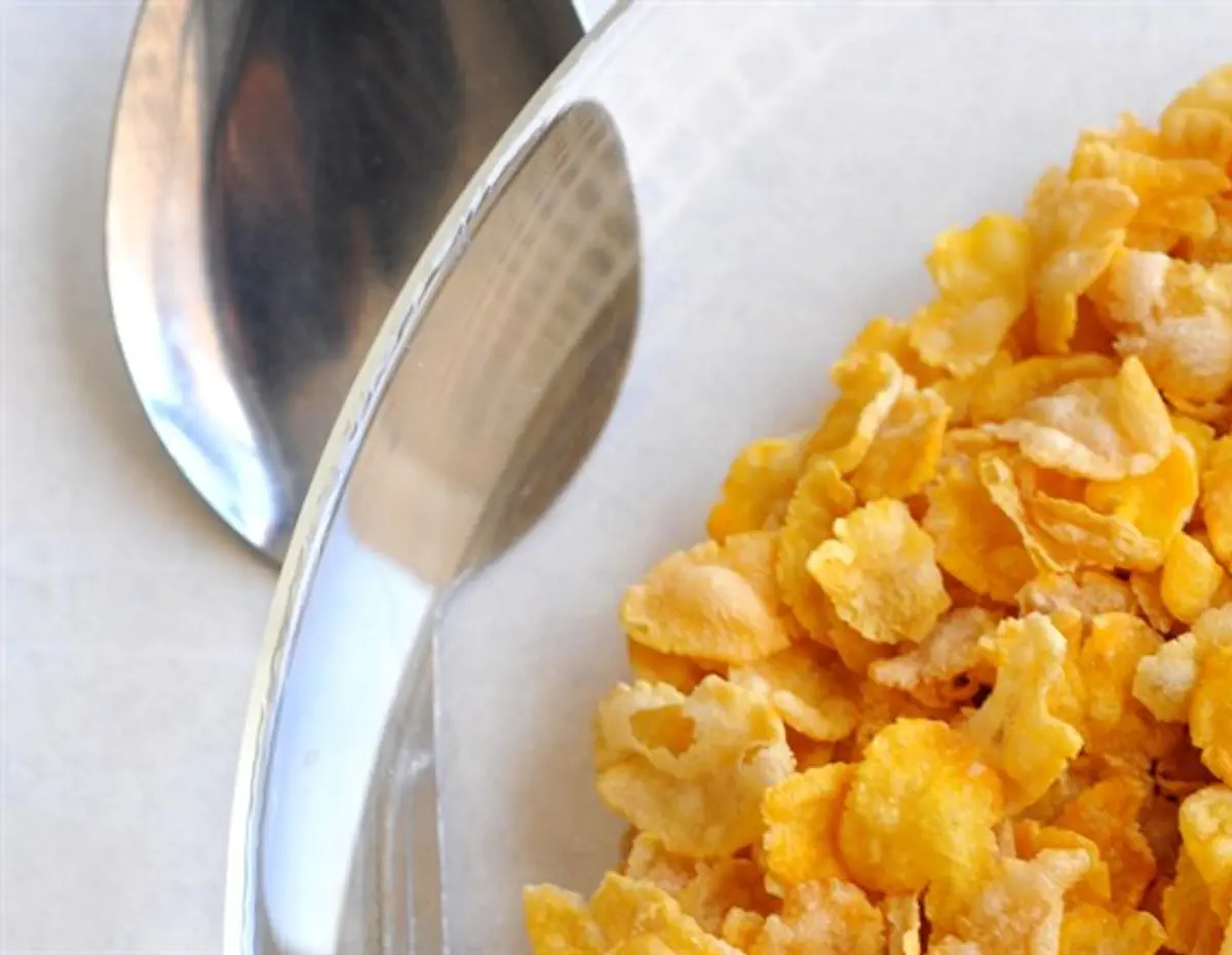  Quaker cereal recalled for salmonella scare 