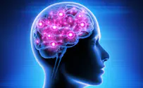 מחקר: האם זיכרון יכול לייצר מחלה?