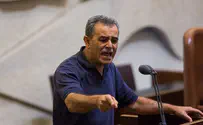 זחאלקה: החברה הערבית זקוקה למשטרה חזקה