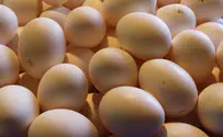 נדחתה תביעת חרדי על אפליה במכירת ביצים