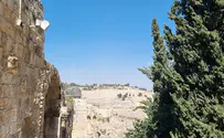  מגוון פעילויות ליום ירושלים