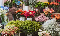 קידום אתרים לחנות פרחים בנווה פריצקי