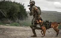 כלב מיחידת עוקץ ברח ותקף חייל צה"ל