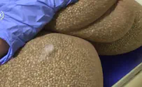 6.5 קילו זרעי קנאביס נתפסו בכרית בנתב"ג