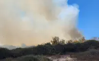 שרפות - חלק ממנגנון טבעי ולא קשור לאקלים