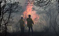 אין מדיניות מוסדרת למניעת שריפות חורש