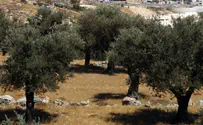 עימותים בין יהודים לערבים בשומרון