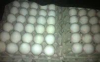קנס של מיליון ש"ח ל"יוסי ביצים"