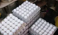 חייל ניסה להבריח אלפי ביצים מזויפות